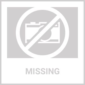 Quilted Waterproof Mattress Pad